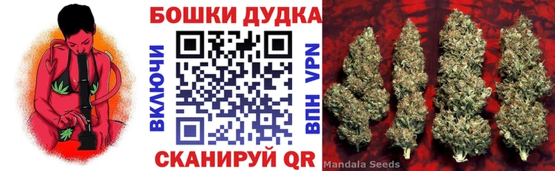 Купить закладку COCAIN  МЕФ  ГАШИШ  СК  Канабис  Белая Холуница