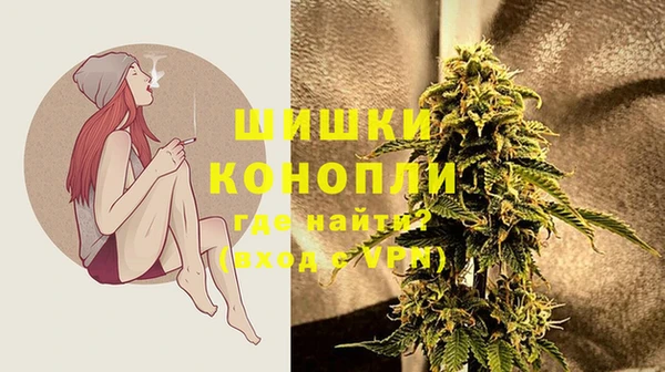 прущая мука Корсаков