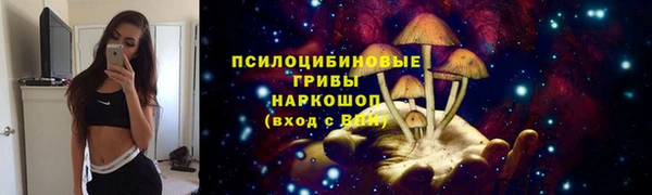 кокс Костерёво