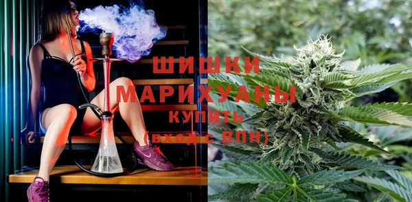 спайс Коряжма