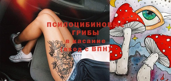 прущая мука Корсаков