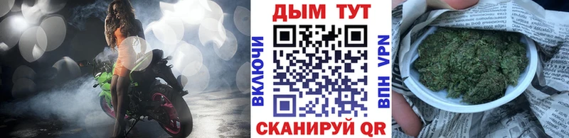 Шишки марихуана план Белая Холуница